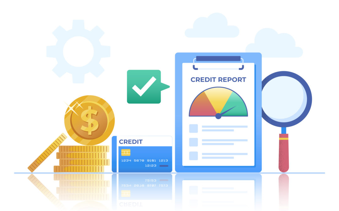 Commercial Credit Report